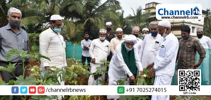 Read more about the article പരിസ്ഥിതി ദിനാചരണം: എം.ഐ.സി അഗ്രോ പാർക്കിൽ വിളവെടുപ്പ് നടത്തി