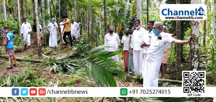 Read more about the article കാനത്തൂരിലെ കാട്ടാന വിളയാട്ടം: തടയാന്‍ കൃഷിയിടത്തിൽ സോളാർ വേലി സ്ഥാപിക്കും: ഖാലിദ് ബെള്ളിപ്പാടി