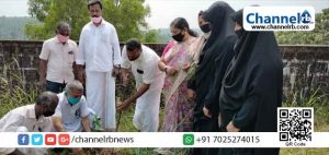 Read more about the article ഹരിത കേരളം മിഷൻ: കേരള പിറവി ദിനത്തിൽ മുളിയാറിൽ വൃക്ഷ തൈകൾ നട്ട് പച്ച തുരുത്തിന് കൈ കോർത്തു