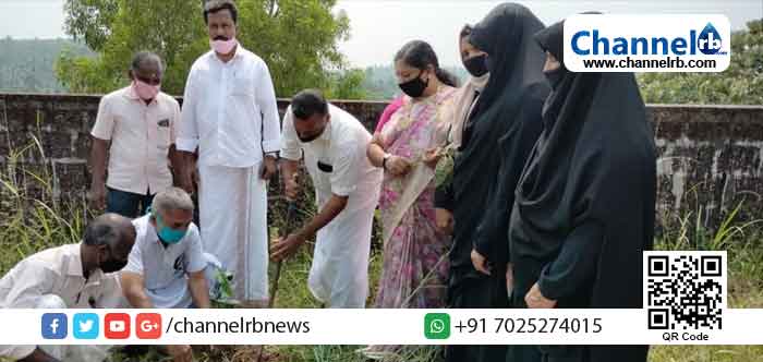 You are currently viewing ഹരിത കേരളം മിഷൻ: കേരള പിറവി ദിനത്തിൽ മുളിയാറിൽ വൃക്ഷ തൈകൾ നട്ട് പച്ച തുരുത്തിന് കൈ കോർത്തു