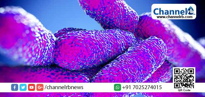 Read more about the article കോഴിക്കോട് ജില്ലയില്‍ ഷിഗെല്ല രോഗം സ്ഥിരീകരിച്ചു; രോഗലക്ഷണം കണ്ടെത്തിയ അഞ്ച് പേര്‍ ഇപ്പോള്‍ ചികിത്സയിൽ; ജാഗ്രത