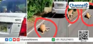 Read more about the article 30 കിലോമീറ്ററോളം വേഗത്തിൽ പാഞ്ഞ കാറിന്‍റെ ഡിക്കിയിൽ നായയെ കെട്ടിവലിച്ച ആളെ കണ്ടെത്തി