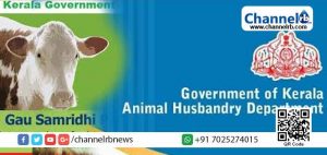 Read more about the article കാര്‍ഷിക കുടുംബത്തിന്‍റെ അതിജീവനവും സാമ്പത്തിക ഭദ്രതയും ലക്‌ഷ്യം; കര്‍ഷകന്  കൈത്താങ്ങായി സംസ്ഥാന സര്‍ക്കാരിന്‍റെ ഗോസമൃദ്ധി ഇന്‍ഷുറന്‍സ്