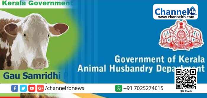 Read more about the article കാര്‍ഷിക കുടുംബത്തിന്‍റെ അതിജീവനവും സാമ്പത്തിക ഭദ്രതയും ലക്‌ഷ്യം; കര്‍ഷകന്  കൈത്താങ്ങായി സംസ്ഥാന സര്‍ക്കാരിന്‍റെ ഗോസമൃദ്ധി ഇന്‍ഷുറന്‍സ്