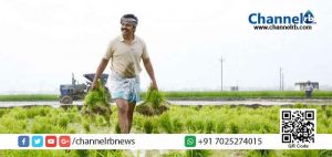 Read more about the article കര്‍ഷകരുടെ പ്രതിഷേധം രാജ്യത്തെ മുഴുവന്‍ നടുക്കി; കര്‍ഷക സമരത്തിന്‌ പിന്തുണയുമായി കാര്‍ത്തി