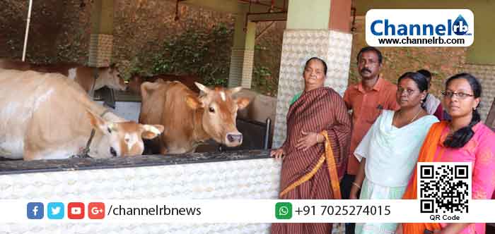 You are currently viewing കോവിഡ് പ്രതിസന്ധിയിലും കാസർകോട് ജില്ലയില്‍ പാലുല്‍പാദനത്തില്‍  വര്‍ദ്ധനവ്; ഏറ്റവും കൂടുതല്‍ പ്രതിദിന പാല്‍ സംഭരണം പരപ്പ ബ്ലോക്കില്‍