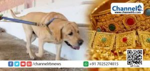 Read more about the article ഡോഗ് സ്‌ക്വഡിലെ ഉദ്യോഗസ്ഥനോട് യുവാവ് ചോദിച്ച സംശയം തുമ്പായി; കൊച്ചിയിൽ 127 പവൻ സ്വർണാഭരണങ്ങൾ കവർന്ന കേസിലെ പ്രതികളെ പോലീസ് കുരുക്കിയത് ഇങ്ങനെ