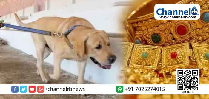 Read more about the article ഡോഗ് സ്‌ക്വഡിലെ ഉദ്യോഗസ്ഥനോട് യുവാവ് ചോദിച്ച സംശയം തുമ്പായി; കൊച്ചിയിൽ 127 പവൻ സ്വർണാഭരണങ്ങൾ കവർന്ന കേസിലെ പ്രതികളെ പോലീസ് കുരുക്കിയത് ഇങ്ങനെ