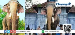 Read more about the article നി​ബ​ന്ധ​ന  പാലിച്ചില്ല; തെ​ച്ചി​ക്കോ​ട്ടു​കാ​വ്‌ രാ​മ​ച​ന്ദ്ര​ന് വീ​ണ്ടും വി​ല​ക്ക് ഏ​ര്‍​പ്പെ​ടു​ത്തി വ​നം വ​കു​പ്പ്