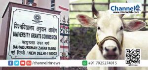 Read more about the article എല്ലാ കോളേജുകളിലും പരീക്ഷയെക്കുറിച്ച് അറിയിക്കണം; പശുശാസ്ത്ര പരീക്ഷ എഴുതാന്‍ വിദ്യാര്‍ത്ഥികളെ പ്രോത്സാഹിപ്പിക്കണമെന്ന്‌ യു.ജി.സി