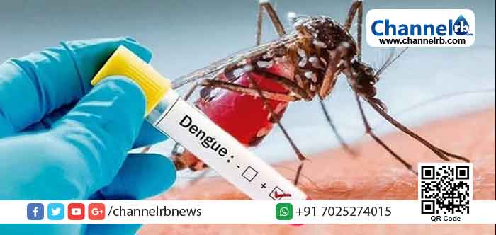 Read more about the article ഡങ്കിപ്പനി  പ്രതിരോധ നടപടികളുമായി വെള്ളരിക്കുണ്ട് പ്രാഥമികാരോഗ്യ കേന്ദ്രം