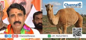 Read more about the article ഒട്ടകം ഗോപാലനെന്ന പേര് തനിക്ക് വീണതെങ്ങനെ; ബി.ജെ.പി നേതാവ് ബി . ഗോപാലകൃഷ്ണൻ പറയുന്നു