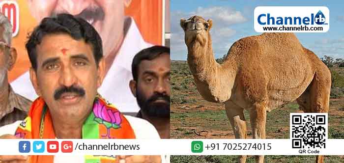 Read more about the article ഒട്ടകം ഗോപാലനെന്ന പേര് തനിക്ക് വീണതെങ്ങനെ; ബി.ജെ.പി നേതാവ് ബി . ഗോപാലകൃഷ്ണൻ പറയുന്നു