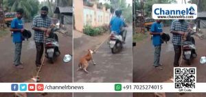 Read more about the article മലപ്പുറത്ത് നടന്നത് കണ്ണില്ലാത്ത ക്രൂരത;  നായയെ ഉപേക്ഷിക്കാൻ കൊണ്ടുപോയത് ഇരുചക്രവാഹനത്തിന്‍റെ  പിന്നില്‍ കെട്ടിയിട്ട്