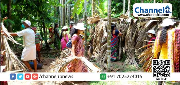 You are currently viewing പുത്തിഗെ ഗ്രാമപഞ്ചായത്തിൽ ഡെങ്കിപ്പനിക്കെതിരെ പ്രതിരോധ പ്രവർത്തനം നടത്തി