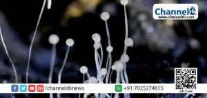 Read more about the article സംസ്ഥാനത്തെ ആരോഗ്യ മേഖലയില്‍ അതീവ ആശങ്ക; കൊല്ലത്തിന് പിന്നാലെ മലപ്പുറത്തും ബ്ലാക്ക് ഫംഗസ് റിപ്പോർട്ട് ചെയ്‌തു