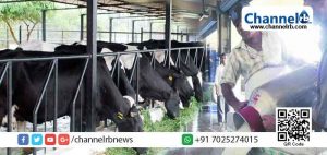 Read more about the article ജൂണ്‍ 1 ലോക ക്ഷീര ദിനം; കോവിഡ് പ്രതിസന്ധിയിലും തളരാതെ ക്ഷീരമേഖല