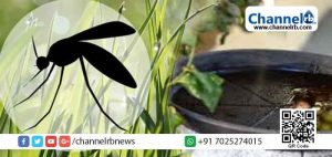 Read more about the article കൊതുകിന്‍റെ ഉറവിടങ്ങള്‍ കണ്ടെത്തി തുരത്താന്‍ ഓപ്പറേഷന്‍ മോസ് ഹണ്ട്;  ദേലമ്പാടി പഞ്ചായത്തില്‍ തുടക്കം കുറിച്ചു