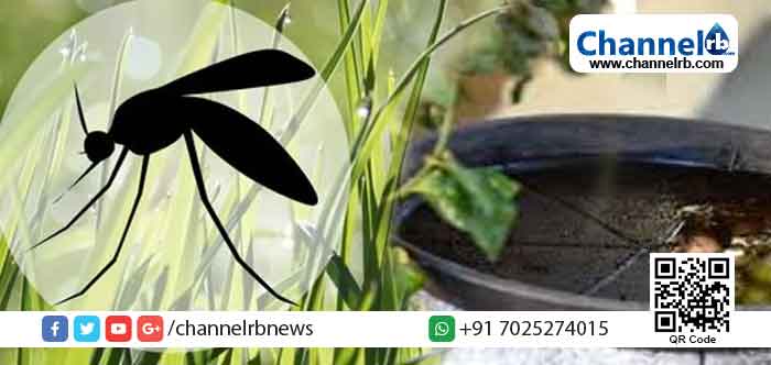 Read more about the article കൊതുകിന്‍റെ ഉറവിടങ്ങള്‍ കണ്ടെത്തി തുരത്താന്‍ ഓപ്പറേഷന്‍ മോസ് ഹണ്ട്;  ദേലമ്പാടി പഞ്ചായത്തില്‍ തുടക്കം കുറിച്ചു