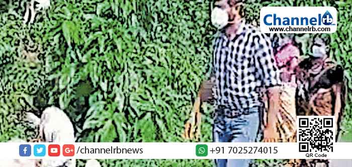 Read more about the article വാക്‌സിനെടുക്കാൻ വിളിച്ചപ്പോൾ ആടുമേയ്ക്കുകയാണെന്ന് പറഞ്ഞ് ഒഴിഞ്ഞു മാറി; വീട്ടമ്മയ്ക്ക് വാക്സിന്‍ എടുക്കാനായി ഡോക്ടര്‍ ആട്ടിടയനായി