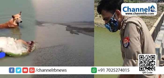 You are currently viewing യമുനാ നദിയിലൂ‍ടെ നിരവധി മൃതദേഹങ്ങൾ ഒഴുകി വരുന്നു; കോവിഡ് ബാധിച്ച് മരിച്ചവരുടേതാണോ എന്ന ആശങ്കയിൽ യു.പി