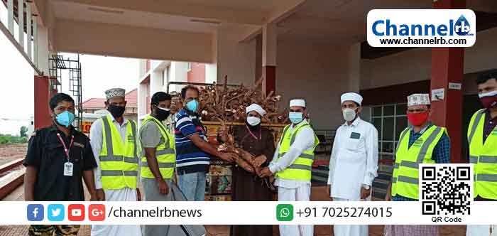 Read more about the article മെഡിക്കൽ കോളേജിലെ ക്യാന്റിനിലേക്ക് മരച്ചീനി നൽകി എസ്.എസ്.എഫ്.എസ്.വൈ.എസ് ബെളിഞ്ച യുണിറ്റ് സാന്ത്വനം