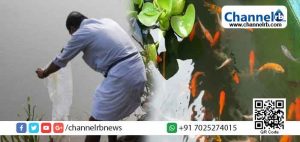 Read more about the article മത്സ്യസമ്പത്ത് വർദ്ധിപ്പിക്കുക ലക്‌ഷ്യം; പൊതുജലാശയങ്ങളിൽ കാർപ്പ് കുഞ്ഞുങ്ങളെ നിക്ഷേപിക്കുന്ന പദ്ധതിക്ക് തുടക്കം