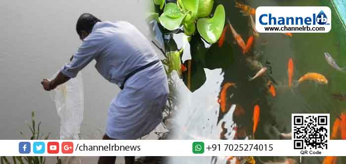 You are currently viewing മത്സ്യസമ്പത്ത് വർദ്ധിപ്പിക്കുക ലക്‌ഷ്യം; പൊതുജലാശയങ്ങളിൽ കാർപ്പ് കുഞ്ഞുങ്ങളെ നിക്ഷേപിക്കുന്ന പദ്ധതിക്ക് തുടക്കം