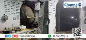 Read more about the article വിശന്നപ്പോള്‍ രണ്ടും കല്‍പിച്ച്‌ വീടിന്‍റെ അടുക്കള പൊളിച്ച ആന  സോഷ്യല്‍ മീഡിയയില്‍  വൈറല്‍