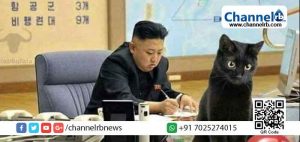 Read more about the article കൊവിഡ് വ്യാപനത്തെ പ്രതിരോധിക്കാൻ പൂച്ചകളെയും പ്രാവുകളെയും കൊന്നൊടുക്കണം; വിചിത്ര നിർദ്ദേശവുമായി  കിം ജോങ്​ ഉൻ