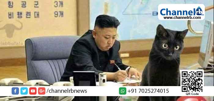 Read more about the article കൊവിഡ് വ്യാപനത്തെ പ്രതിരോധിക്കാൻ പൂച്ചകളെയും പ്രാവുകളെയും കൊന്നൊടുക്കണം; വിചിത്ര നിർദ്ദേശവുമായി  കിം ജോങ്​ ഉൻ