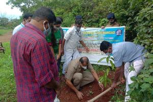 Read more about the article സ്നേഹവും കരുതലും മണ്ണിന് എന്ന സന്ദേശവുമായി മാന്തൈ @ 2021; ബേക്കൽ ഡി.വൈ.എസ്.പി. ബിജു കെ.എം നാട്ടുമാവിൻ തൈ നട്ട് ഉദ്‌ഘാടനം നിർവഹിച്ചു