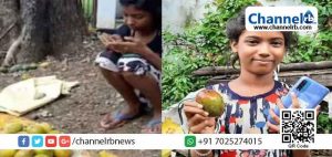 Read more about the article 12 മാങ്ങകൾ വിറ്റ് പതിനൊന്നുകാരി പെൺകുട്ടി സമ്പാദിച്ചത് 1.20 ലക്ഷം രൂപ