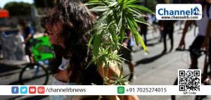 Read more about the article മരിജുവാനയുടെ (കഞ്ചാവ്) വിനോദ ഉപയോഗത്തിനുള്ള വിലക്ക് നീക്കി മെക്സിക്കോ; പരിമിതമായ അളവിൽ  ചെടികൾ വളര്‍ത്താം