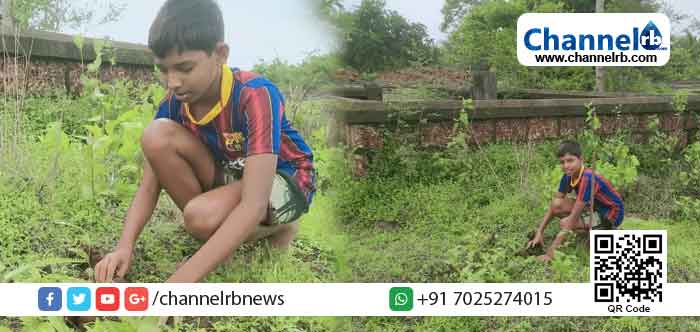 Read more about the article പച്ചതുരുത്ത്; വൃക്ഷതൈകൾ നട്ടുപിടിപ്പിച്ച് എട്ടാം ക്ലാസുകാരൻ മാതൃകയായി