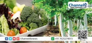 Read more about the article വര്‍ഷം നീളെ പച്ചക്കറി വിളയിച്ച്  വനിതാശിശുവികസന വകുപ്പിന്‍റെ കൃഷി യജ്ഞം