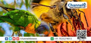 Read more about the article ഈ ലോകത്ത് മദ്യം കഴിക്കുന്നത് മനുഷ്യർ മാത്രമല്ല; ഇവര്‍ ജന്തുലോകത്തെ മദ്യപാനികൾ