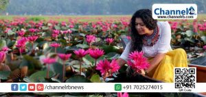 Read more about the article 600 ഏക്കറില്‍ ആമ്പല്‍ മൊട്ടിടുവാന്‍ തുടങ്ങി; മലയാളികളായ യാത്രികരെ മാടിവിളിച്ച് മലരിക്കല്‍