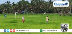 Read more about the article പൈതൃകത്തിലൂന്നി പിലിക്കോട്, ജലസംരക്ഷണത്തിലൂന്നി കരിന്തളം; ജൈവവൈവിധ്യ ബോര്‍ഡിന്‍റെ  സംസ്ഥാന പുരസ്‌കാരം പിലിക്കോടിനും കിനാനൂര്‍ കരിന്തളത്തിനും