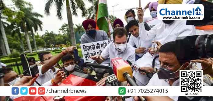 Read more about the article കർഷകസമരത്തിന് പിന്തുണ; അപ്രതീക്ഷിതമായി പാർലമെന്റിലേക്ക് ട്രാക്ടറോടിച്ച് രാഹുൽ ഗാന്ധി