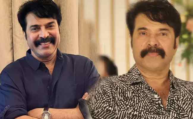 Read more about the article മുടി വെട്ടി താടി വടിച്ച് ‘പുഴു’ സിനിമയ്ക്കായി സ്റ്റൈലിഷ് ലുക്കിൽ മമ്മൂട്ടി; വൈറലായി ഫോട്ടോസ്