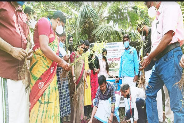 You are currently viewing സി ഫോര്‍ യു  പദ്ധതി: അജാനൂര്‍ പഞ്ചായത്തില്‍ മുളന്തുരുത്ത് ഒരുങ്ങുന്നു