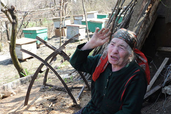 Read more about the article ഇത് ഹായസ്റ്റാന്‍ ഷക്കാറിയാന്‍; യൂറോപ്പിലെ മൂന്നിലേറെ രാജ്യങ്ങളില്‍ 11 മണിക്കൂര്‍ ഇന്‍റര്‍നെറ്റ് കിട്ടാതാക്കിയ  മുത്തശ്ശി