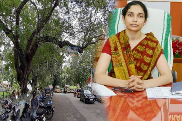 Read more about the article അപകടഭീഷണിയുയര്‍ത്തുന്ന മരങ്ങള്‍ മുറിച്ചു നീക്കുന്നതിന് അടിയന്തിര നടപടി സ്വീകരിക്കും: കളക്ടർ ഭണ്ഡാരി സ്വാഗത് രണ്‍വീര്‍ ചന്ദ്