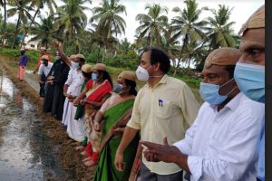 Read more about the article കാസര്‍കോട് നഗരസഭയില്‍ 25 വര്‍ഷം തരിശായി കിടന്ന 10 ഹെക്ടര്‍ വയല്‍ ഇനി കതിരണിയും