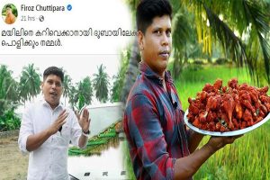 Read more about the article മയിലിനെ കറിവെക്കാനായി ദുബായിലേക്ക്; യൂട്യൂബര്‍ ഫിറോസ് ചുട്ടിപ്പാറക്കെതിരെ സംഘപരിവാര്‍ സൈബര്‍ ആക്രമണം