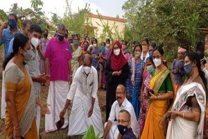 Read more about the article പരിസ്ഥിതി സംരക്ഷണത്തിനുതകുന്ന ചെറുവനങ്ങള്‍; പച്ചത്തുരുത്ത് നിര്‍മ്മിച്ച് പള്ളിക്കര ഗ്രാമ പഞ്ചായത്ത്