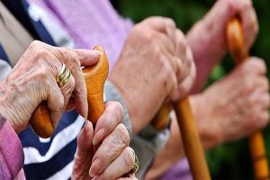 Read more about the article രാഷ്ട്രീയ വയോശ്രീ യോജന: കാസർകോട് ജില്ലയിൽ വിതരണം ചെയ്യുന്നത് 910 ഗുണഭോക്താക്കള്‍ക്ക് 50 ലക്ഷം രൂപയുടെ സഹായോപകരണങ്ങള്‍