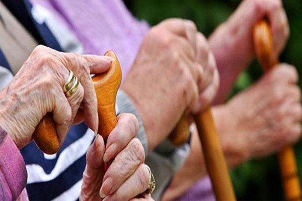 You are currently viewing രാഷ്ട്രീയ വയോശ്രീ യോജന: കാസർകോട് ജില്ലയിൽ വിതരണം ചെയ്യുന്നത് 910 ഗുണഭോക്താക്കള്‍ക്ക് 50 ലക്ഷം രൂപയുടെ സഹായോപകരണങ്ങള്‍