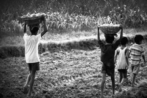 Read more about the article ”ആ വേല കയ്യിലിരിക്കട്ടെ…” ബാലവേല വിവരമറിയിച്ചാല്‍  2500 രൂപ പാരിതോഷികം